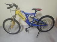 Grajewo ogłoszenia: Rower dziecięcy koła 20 cali z przerzutkami. - zdjęcie