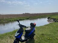 Grajewo ogłoszenia: Sprzedam Skuter Toro 50  z 2017 r   
Zarejestrowany  stan bardzo... - zdjęcie